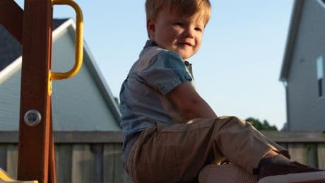 Partial Heart Transplants Show Promise
