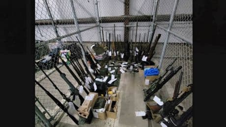 CSIS told RCMP about suspected anti-government militia in Quebec: court documents