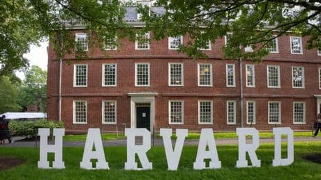 Gabriela, la GenZer di Harvard che aiuta i «drogati da social» a disintossicarsi