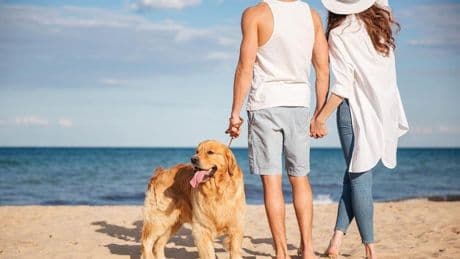 Vivir cerca del mar alarga la esperanza de vida, revela un estudio de la Universidad de Ohio
