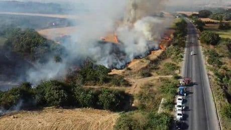 Edirne’de anız yangını: Hamzabeyli Sınır Kapısı yolu ulaşıma kapatıldı