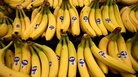 The simple foods which could drastically cut your risk of dying early