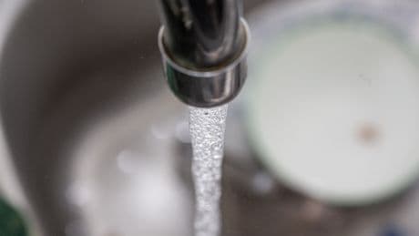 Florida moves to ban fluoride from public drinking water
