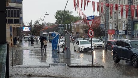 Erzurum'da sağanak hayatı felç etti