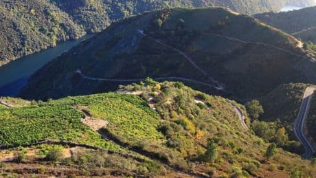 La Ribeira Sacra se está convirtiendo en una trampa letal para los autobuses turísticos: hay curvas demasiado cerradas