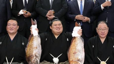 Japan Welcomes a New Sumo Champ. Surprise: He’s Japanese.