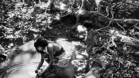 La Amazonia de Sebastião Salgado:“¡El Paraíso está aquí!”