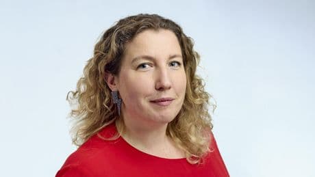 Une histoire d’anatidés