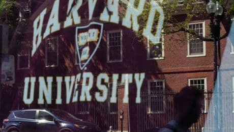 At Harvard, Judge’s Ruling on Funding Gives Students One More Thing to Ponder