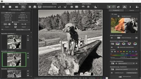 Black & White Projects 6 – Kostenlose Vollversion