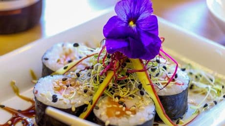 Mallorca: Salmonellen in Sushi-Restaurant – Urlauber im Krankenhaus