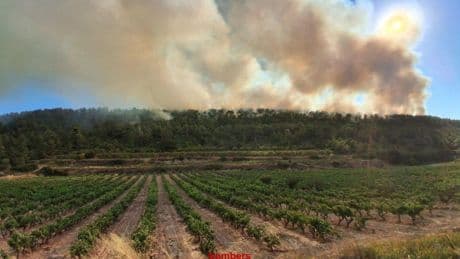 Unos 140 efectivos de los Bombers trabajan en la extinción de un incendio forestal en Fulleda