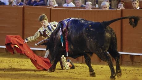 Al Alimón: Un toro muy bravo y vuelta al ruedo anárquica