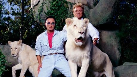 Apple-Serie über unsere Magier-Legenden - Hollywood-Superstars spielen Siegfried & Roy