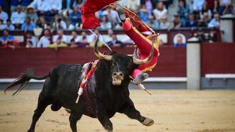 La generosidad sin límite de Román obtiene premio en Las Ventas; la bragadísima confirmación de San Román, no