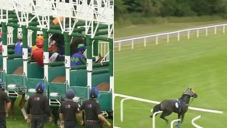 Watch the moment a riderless blindfolded horse wreaks havoc in Windsor by smashing into barriers