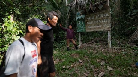 Peru court rules in favor of Kichwa territorial rights in the Amazon