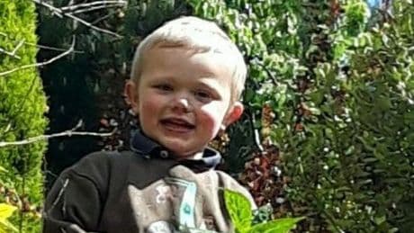 Mum told 999 son, 3, had been 'ripped to pieces' after dog attack at farm
