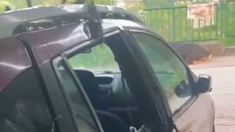 Kurbanlık boğa çıktığı garaj çatısı çökünce otomobilin üzerine düştü