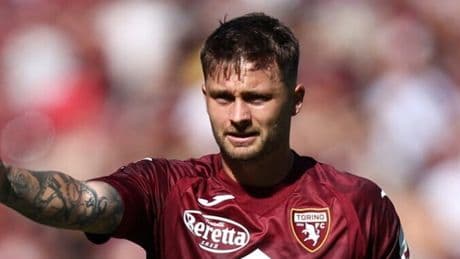 Da Ilic a Sanabria, da Linetty a Sosa: via mezzo Toro