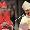 Who could be the next Pope ?