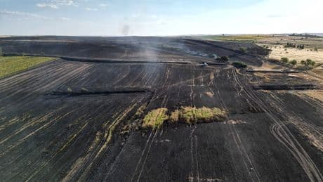 Tekirdağ'da büyük yangın! 1500 dönüm tarım alanı küle döndü