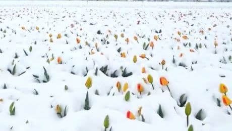Ungewöhnliches Wetter - Wintereinbruch zu Ostern