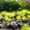 Regen in aantocht, maar de natuur is er nauwelijks mee geholpen: ‘Druppel op een gloeiende plaat’
