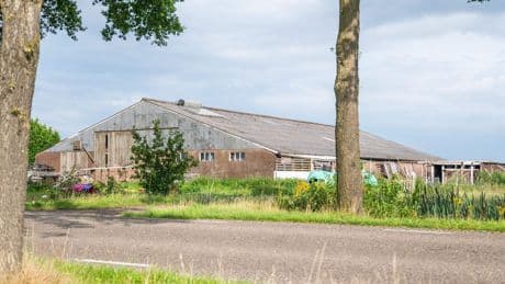 Tientallen verwaarloosde honden gevonden bij inspectie in Friese woonboerderij