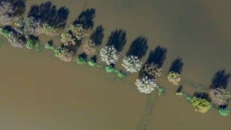 Hochwasser, Sturmfluten, Waldbrände: Portal soll Bürger besser auf Naturgefahren vorbereiten