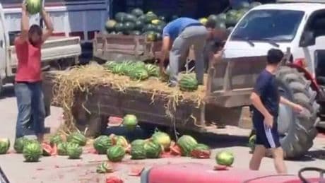Karpuzları yere atarak tepki göstermişlerdi: Üreticilere soruşturma başlatıldı