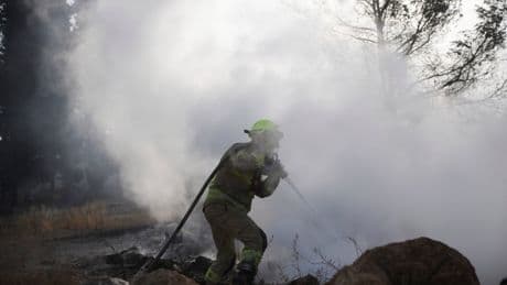 Several countries sending firefighting planes to Israel to help tackle major wildfire