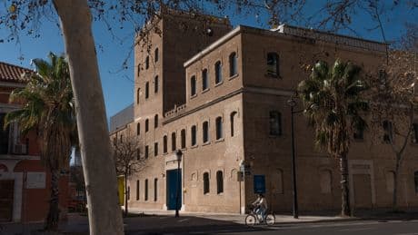 Microsoft instalará en Valencia un centro mundial de desarrollo de tecnología aplicada a deporte, salud y ocio