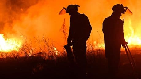 „Keiner kann sich vorstellen, wie schnell sich so eine Waldbrandfront ausbreitet“