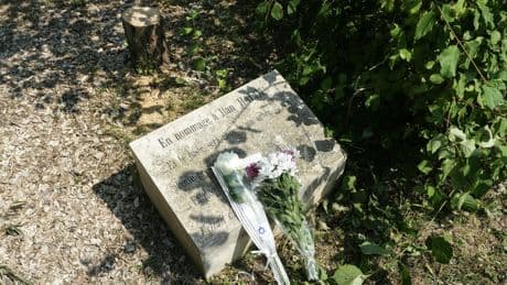 Indignation après l’abattage d’un arbre planté en hommage à Ilan Halimi