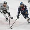 Deutsche Eishockey Liga: Ingolstadt verkürzt gegen Köln im DEL-Halbfinale