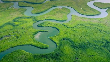 +2,64 °C en surface, réduction des précipitations... L’assèchement de l’Amazonie surtout provoqué par sa déforestation
