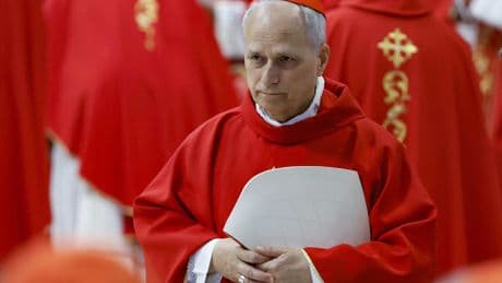 León XIV, el discreto cardenal que es experto en Latinoamérica