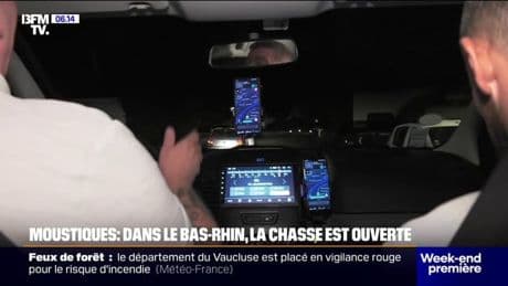 Moustiques: dans le Bas-Rhin, les autorités ont de plus en plus recours à des opérations de démoustication