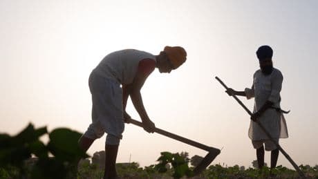 How the Hottest Place in India Survives