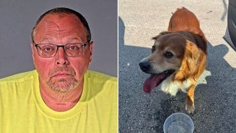 Lawmaker ‘hanged dog using leash as a noose and choked it to death’
