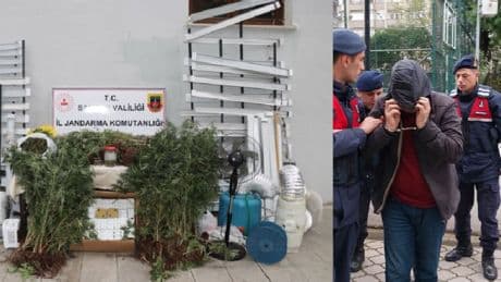 İnternetten öğrendi, saksıda uyuşturucu yetiştirdi! Kıskıvrak yakalandı: Bakın kendini nasıl savundu