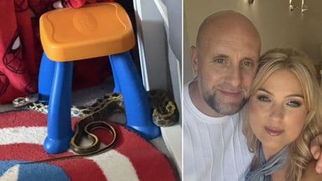 Horrified mother finds 7ft snake slithering through child’s bedroom