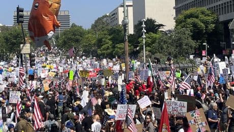 Letters to the Editor: 'No Kings' protests prove that plenty of Americans won't 'play possum'