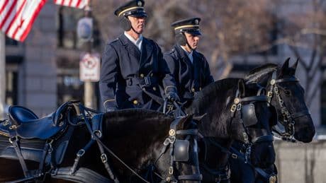 The US Army is saying goodbye to most of its horses. Here's why that might not be a bad thing.