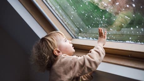 Pollens, bactéries, poussière: comment les particules biologiques font tomber la pluie