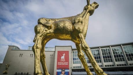Nederlands Film Festival strijdbaar na subsidiestop: ’Dit willen we aan de gemeente duidelijk maken’