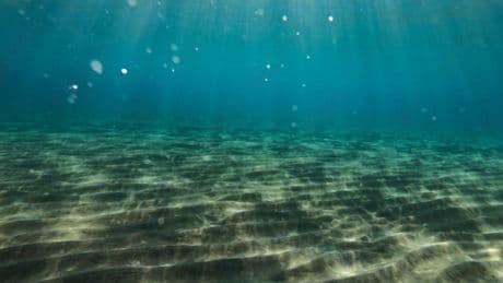 Klimaschutz im Ozean: Mikroben treiben Methanabbau vorran