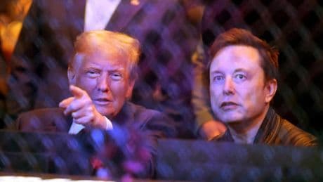 Musk exprime la negativa de Trump a publicar la "idiotez" de la lista de Epstein para ganar adeptos para su nuevo partido