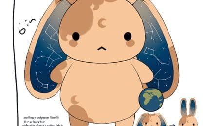 Three Canadian teams hope to make plush passenger for next NASA moon mission